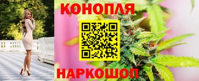 гашик Новодвинск