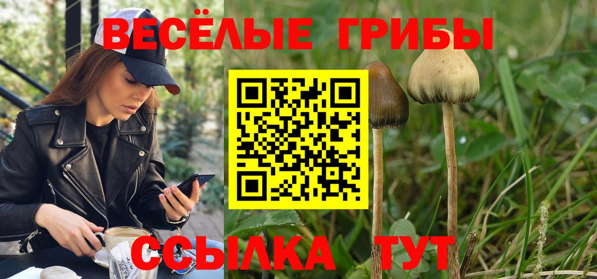 даркнет сайт  Псилоцибиновые грибы Psilocybe  Галлюциногенные грибы Cubensis  Вход с VPN  Усинск 